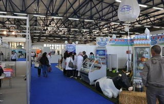 專業(yè)會展與展覽服務(wù)概述